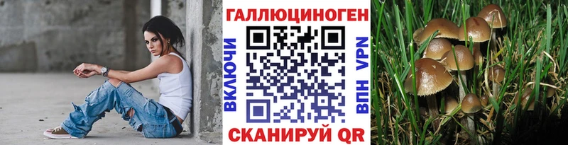Галлюциногенные грибы мицелий  MEGA рабочий сайт  Кстово 